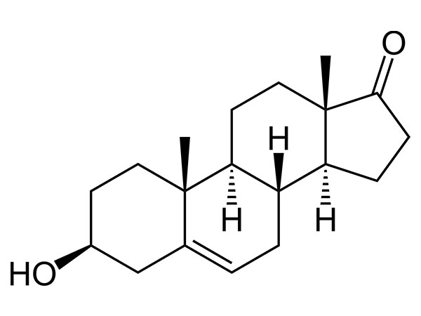 DHEA (پراسترون)